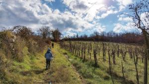 Il Borgo di capannole, Il Giorgio