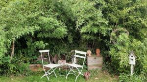 Maisons de vacances Gite Gabrielle : photos des chambres