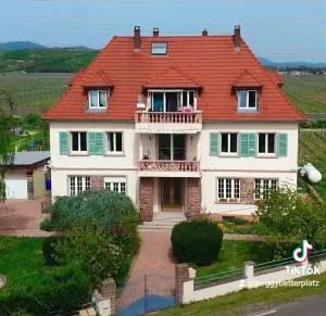 Gite Villa Turckheim - 万泽内姆