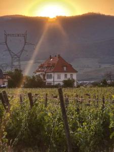 Gite Villa Turckheim