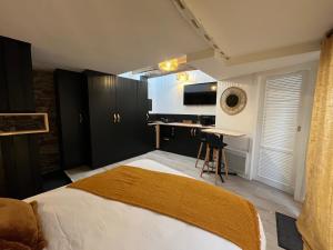 Appartements Rouzic - Studio Appart Hotel : photos des chambres