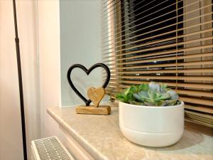 2,5-Raum City Appartement Jena