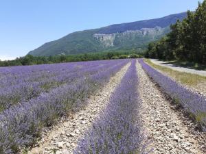 Maisons d'hotes Gite La Rose des Alpes a Serres, 3 chambres, capacite 4 a 8 personnes, Cuisine, Terrasse, Parking et Garage : photos des chambres