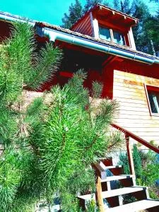 Domaine les lodges nature ,private wellness - Soultzeren