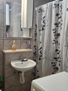 Apartments D&D Sutomore