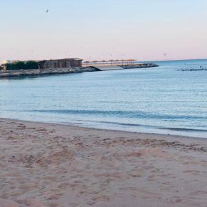 Furnished Chalets for Rent in Cecilia Resort Furnteched, kitchenee, Near Airport