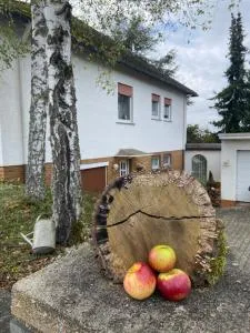 Land-Haus Sonnenhang - 莱茵河畔洛尔希