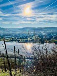 Ferienwohnung Moselverliebt