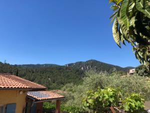 Villa avec piscine dans les oliviers