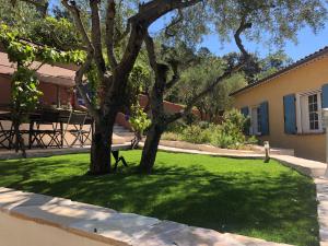 Villas Villa avec piscine dans les oliviers : photos des chambres