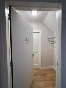 Prachtig en ruim appartement in centrum Lochem