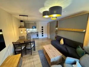 Gipfelblick Apartment - 克劳斯塔尔采勒费尔德