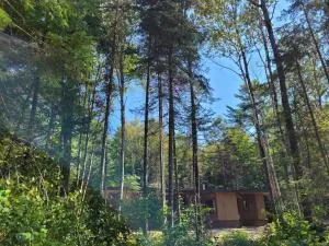 Nomi Resort - Deacon