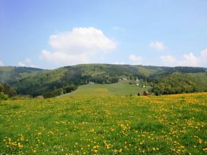 Ferienwohnung bei Willingen mit eigener Terrasse