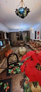Panorama Apartment close to Cairo Intl Airport with free pickup and dropoff airport limousine شقة بانوراما تطل على مطار القاهرة الدولي مع توصيل مجاني免费机场豪华车接送服务
