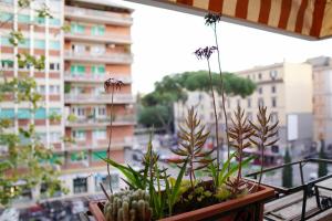 Dolce Roma Apartment