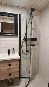 Cozy studio apartment