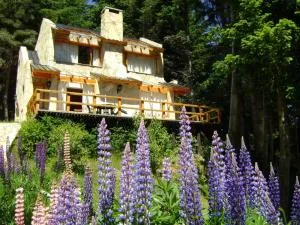 Cabañas Añahue - Villa Traful