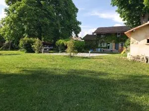Beautiful renovated farmhouse of 250m with 3400m of garden - Saint-Chef