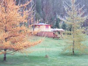 La Maison sous les arbres