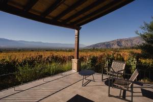 Piattelli Wine Resort Hotel Cafayate
