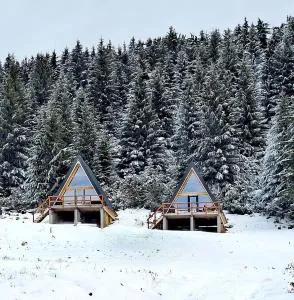 AA Frame Retreat Fundata - Fundatica