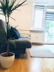 Cozy Studio in Central Katowice with Free Parking and Wi-Fi