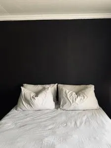 The Ripanga Nest - 巴伯顿