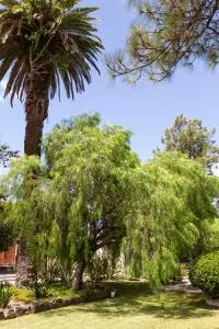 Complejo Anacahuita - 帕拉纳西托镇