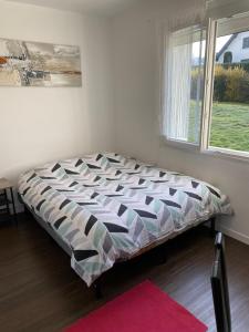 Superbe Chambre ParentaleDouche Privée et WC Privés, Wifi, Cuisine Intégrée