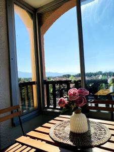 T2 mezzanine avec loggia vue montagne au Port de Saint-Cyprien