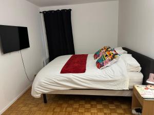 Appt entier MONPARNASSE avec TERRASSE et PARKING