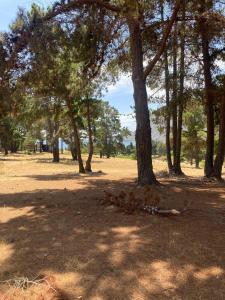 Departamento un dormitorio en Santa Augusta