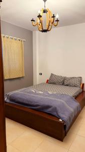 Madinaty B2 - 2 bedroom Ground floor overlooking the garden