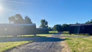 El árbol y la loica