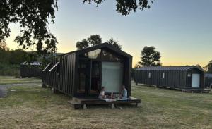 El árbol y la loica