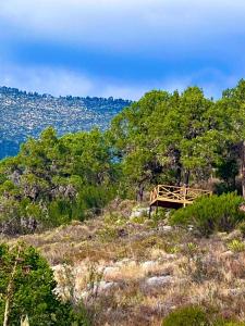 apple camp cabaña alpina