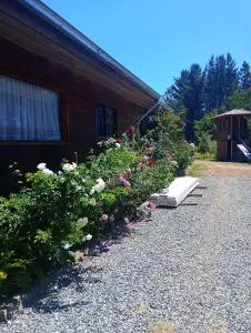 Casa de campo selva valdiviana - Puñaco