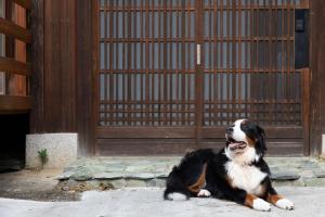 古民家の郷 かぐや姫