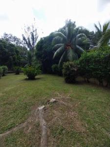 Casa Mariposa Puertolindo