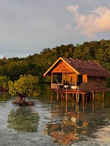 Nyanse Homestay - Raja Ampat