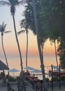 Wild Wood x Hansa Beach Fitness Resort