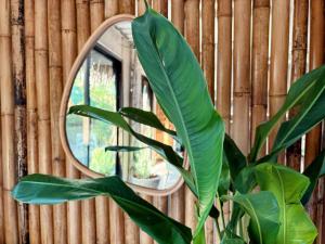 New Eco Bungalow, Bangrak Beach