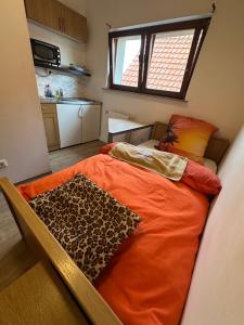 Monteurzimmer 2 - Little Afrika