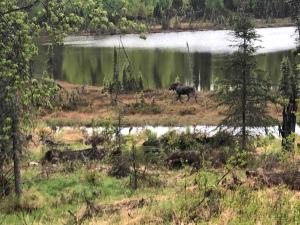 Scout Lake Adventures - LAKE FRONT fishing avail