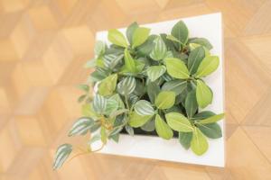 Hotel Alpha Inn Akita - Vacation STAY 67264v