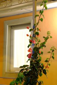 Case Vacanza Villa Doria img79