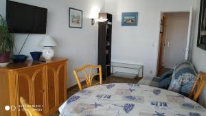 Appartements Appartement T2 vue Mer et Port,2 balcons, Parking prive : photos des chambres