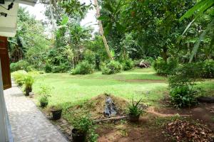 New Nature Garden Hikkaduwa