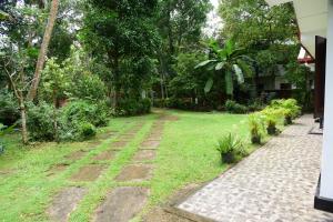 New Nature Garden Hikkaduwa